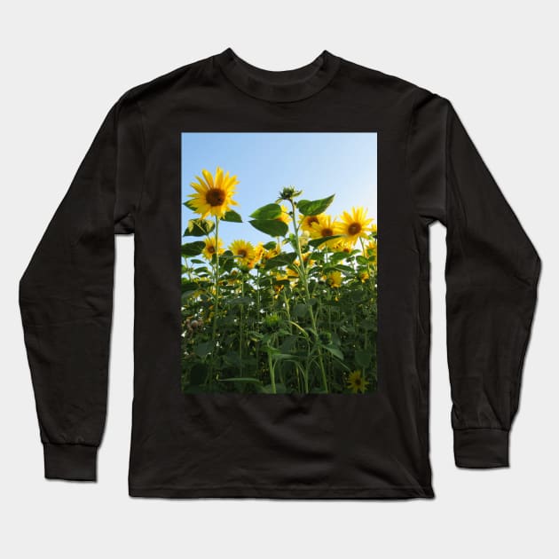 colorful, blooming sunflowers, sunflower, flowers Long Sleeve T-Shirt by rh_naturestyles